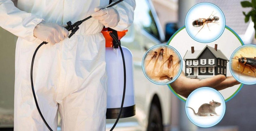 Tufanbeyli Böcek İlaçlama