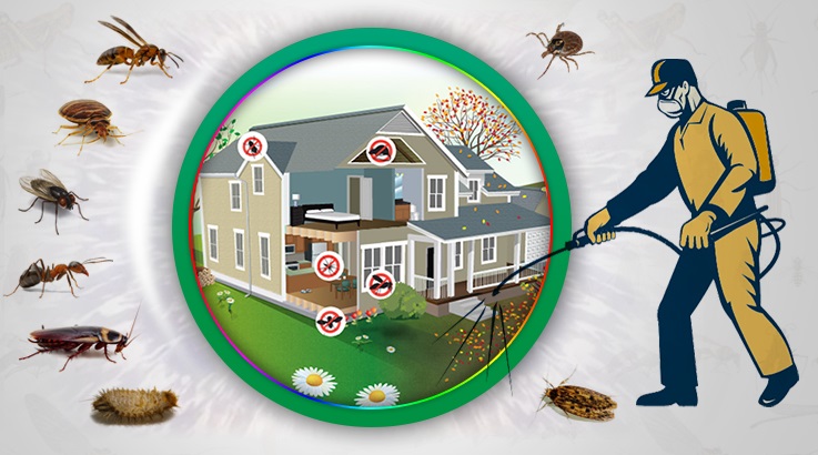 Tufanbeyli Böcek İlaçlama