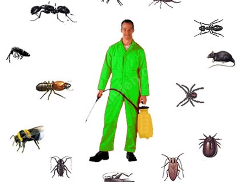 Tufanbeyli Böcek İlaçlama